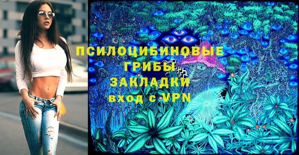 гашик Беломорск