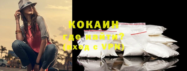 дживик Белокуриха