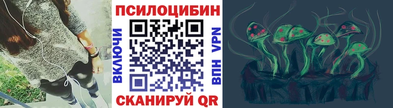 блэк спрут зеркало Маркс Галлюциногенные грибы Psilocybe