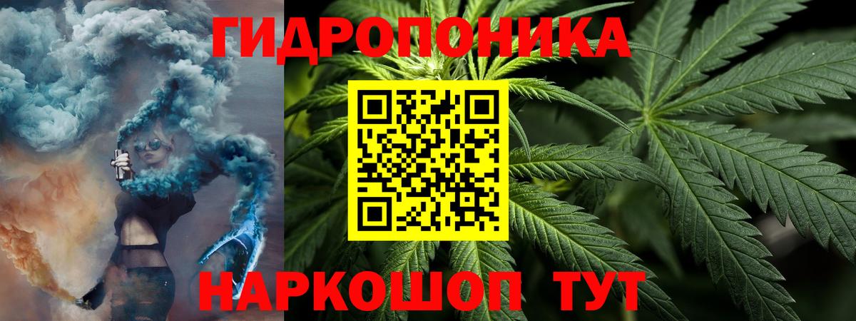 Марихуана семена Маркс